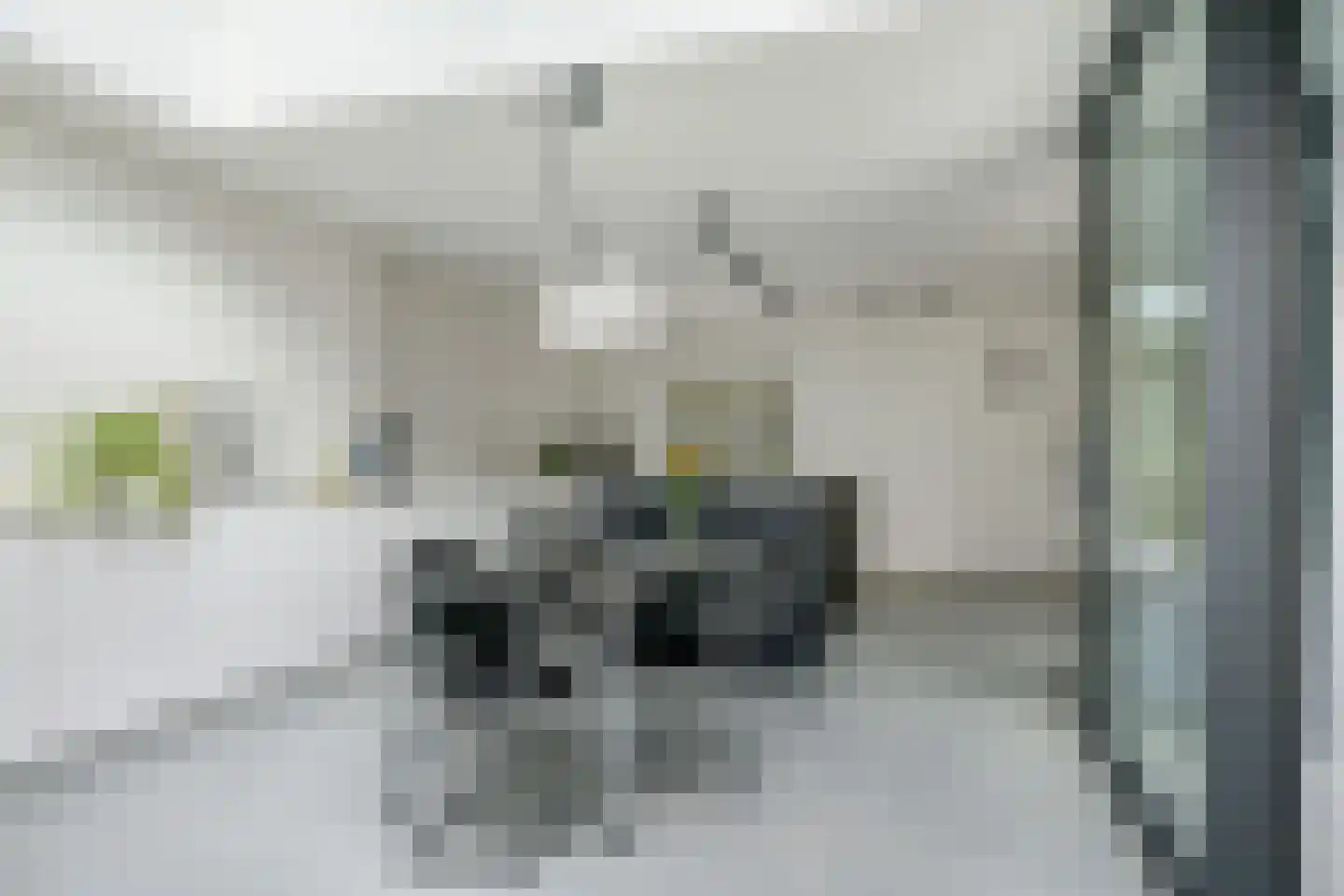 Waalbandijk 7 Dodewaard thumbnail 40