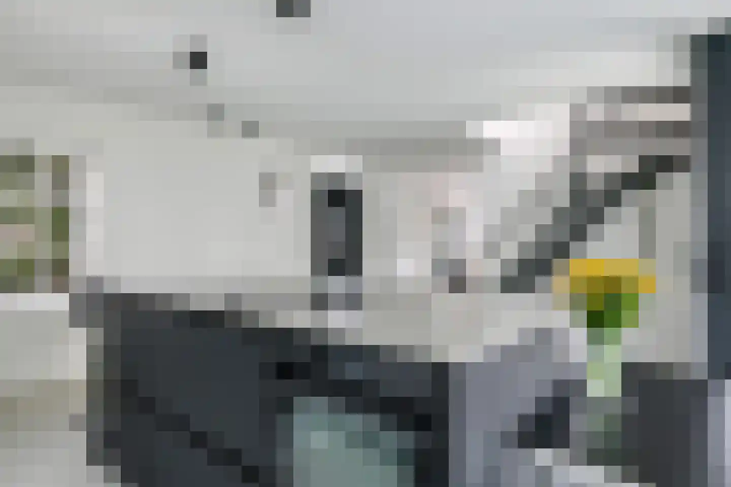 Waalbandijk 7 Dodewaard thumbnail 43