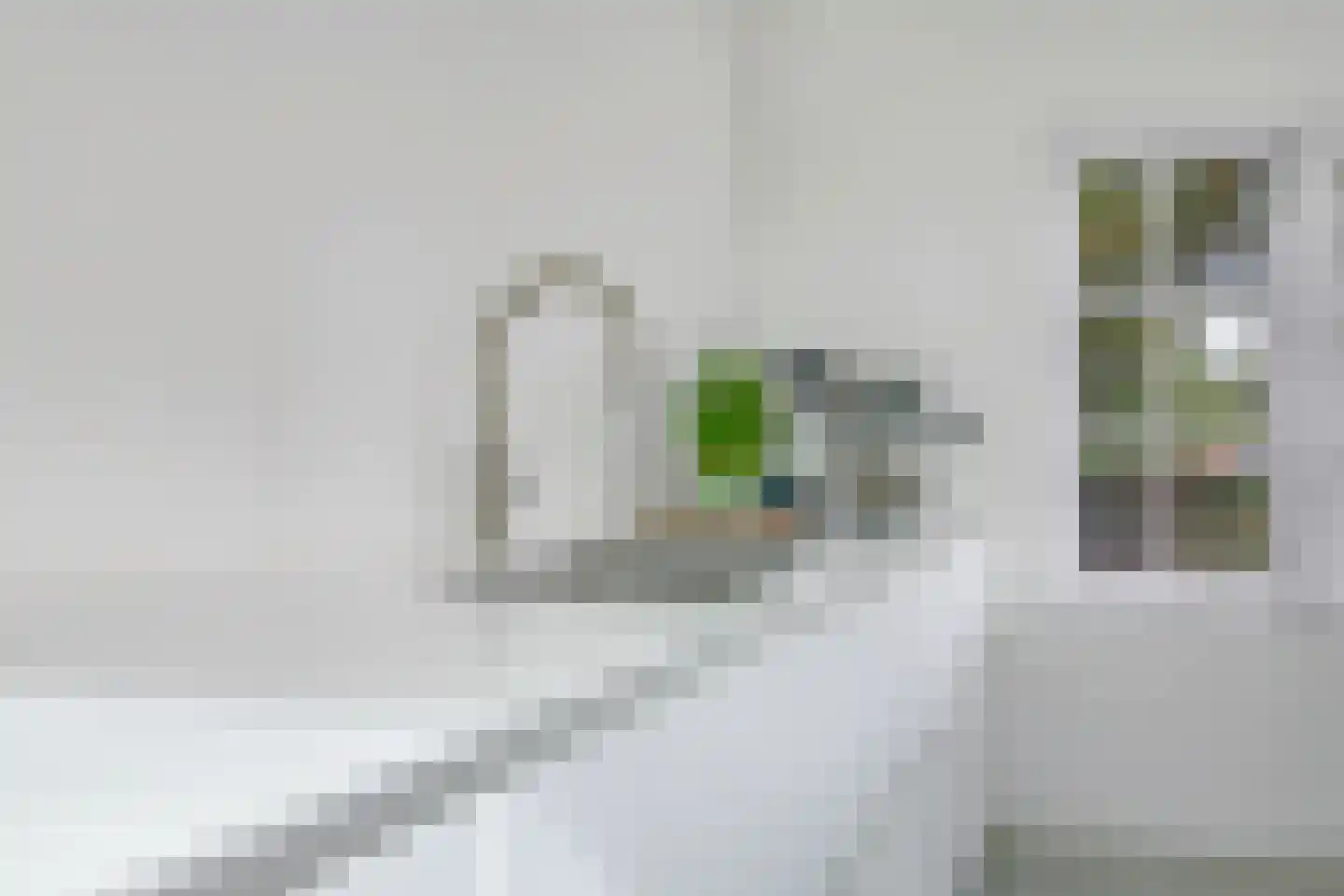 Waalbandijk 7 Dodewaard thumbnail 44