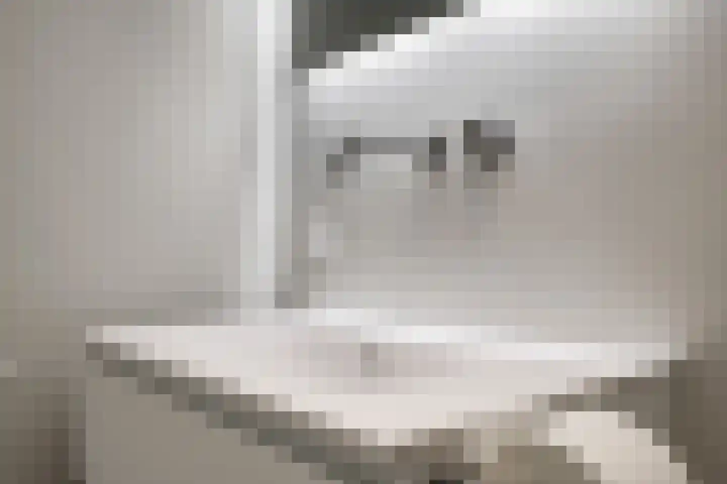 Waalbandijk 7 Dodewaard thumbnail 57