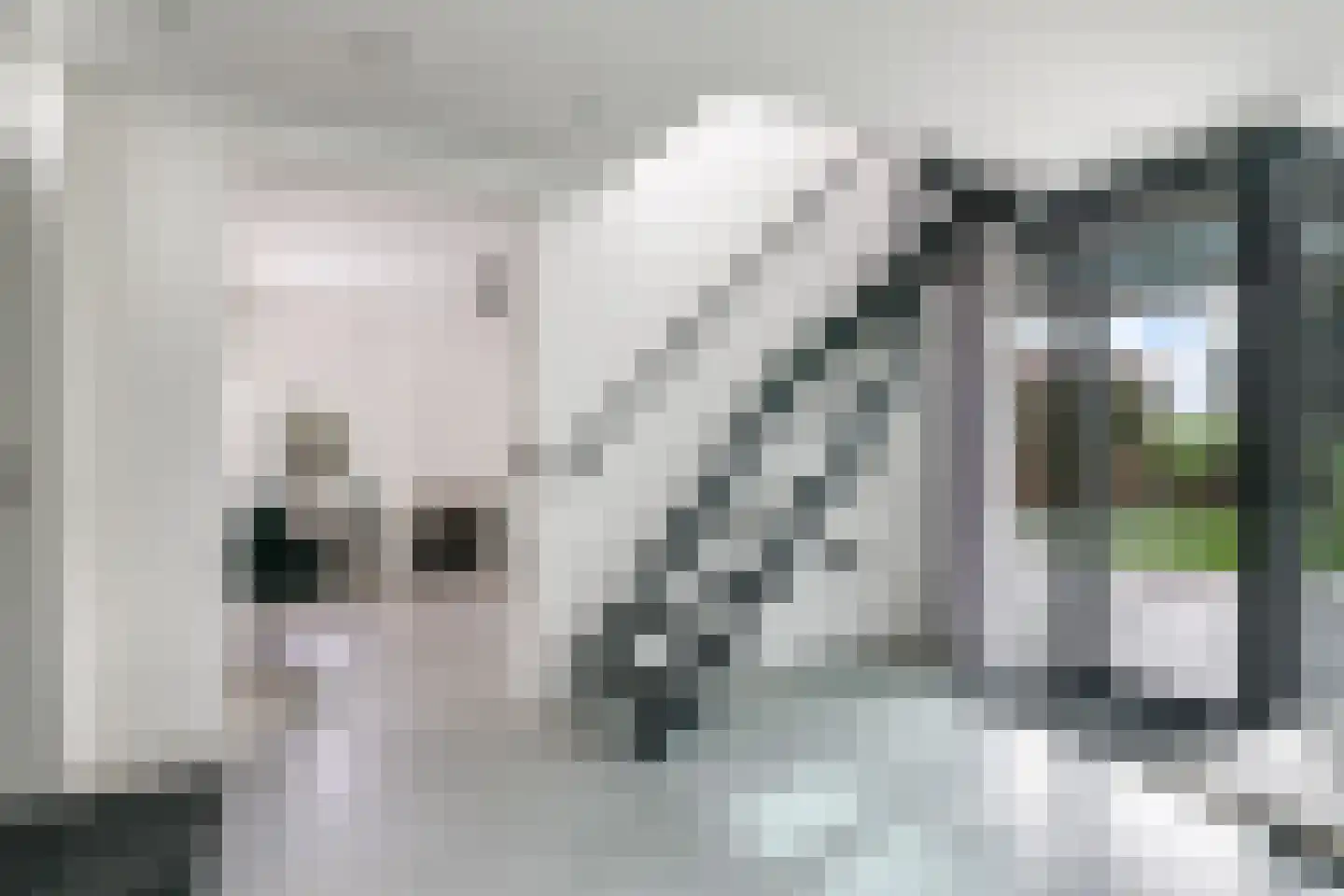 Waalbandijk 7 Dodewaard thumbnail 59