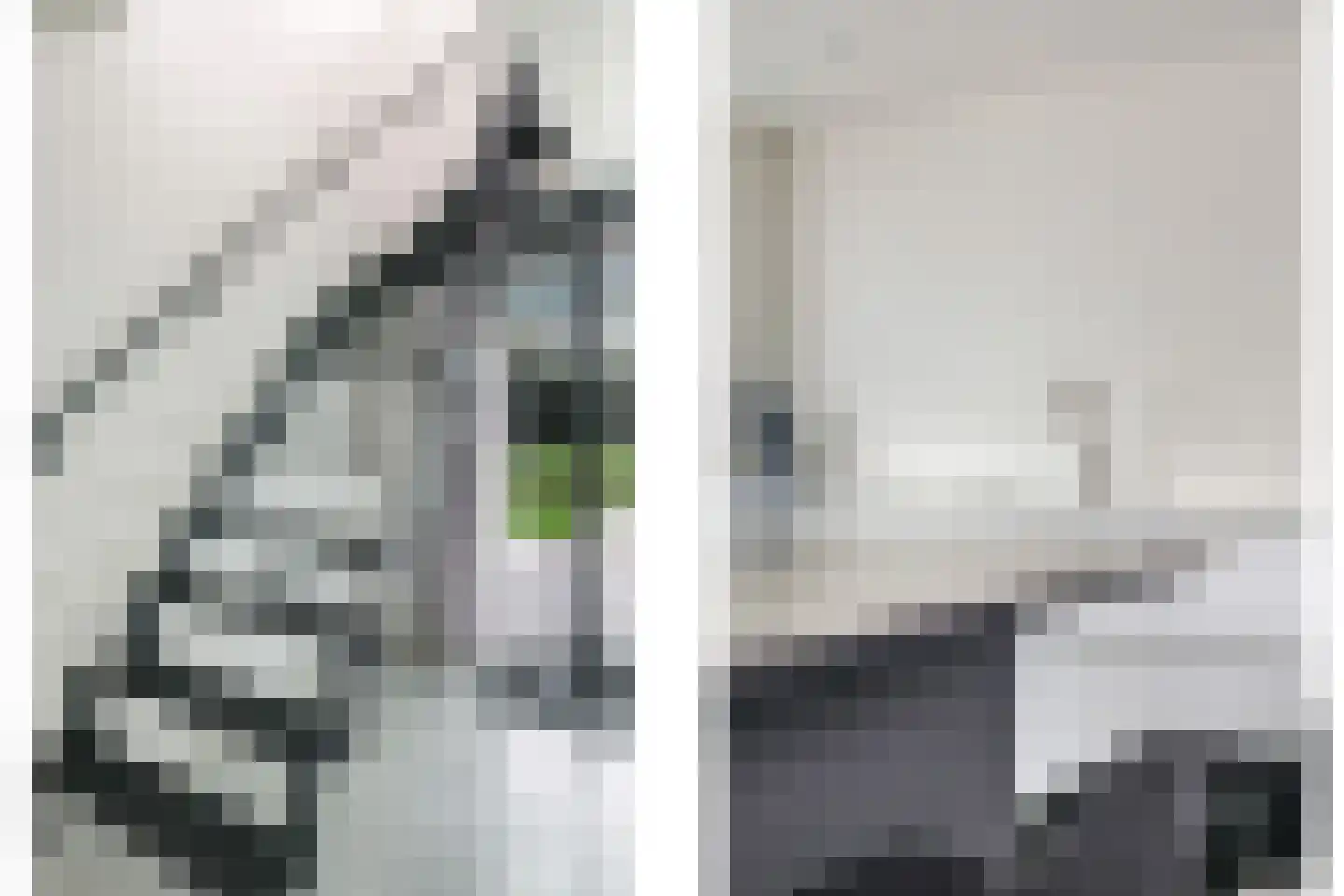 Waalbandijk 7 Dodewaard thumbnail 60
