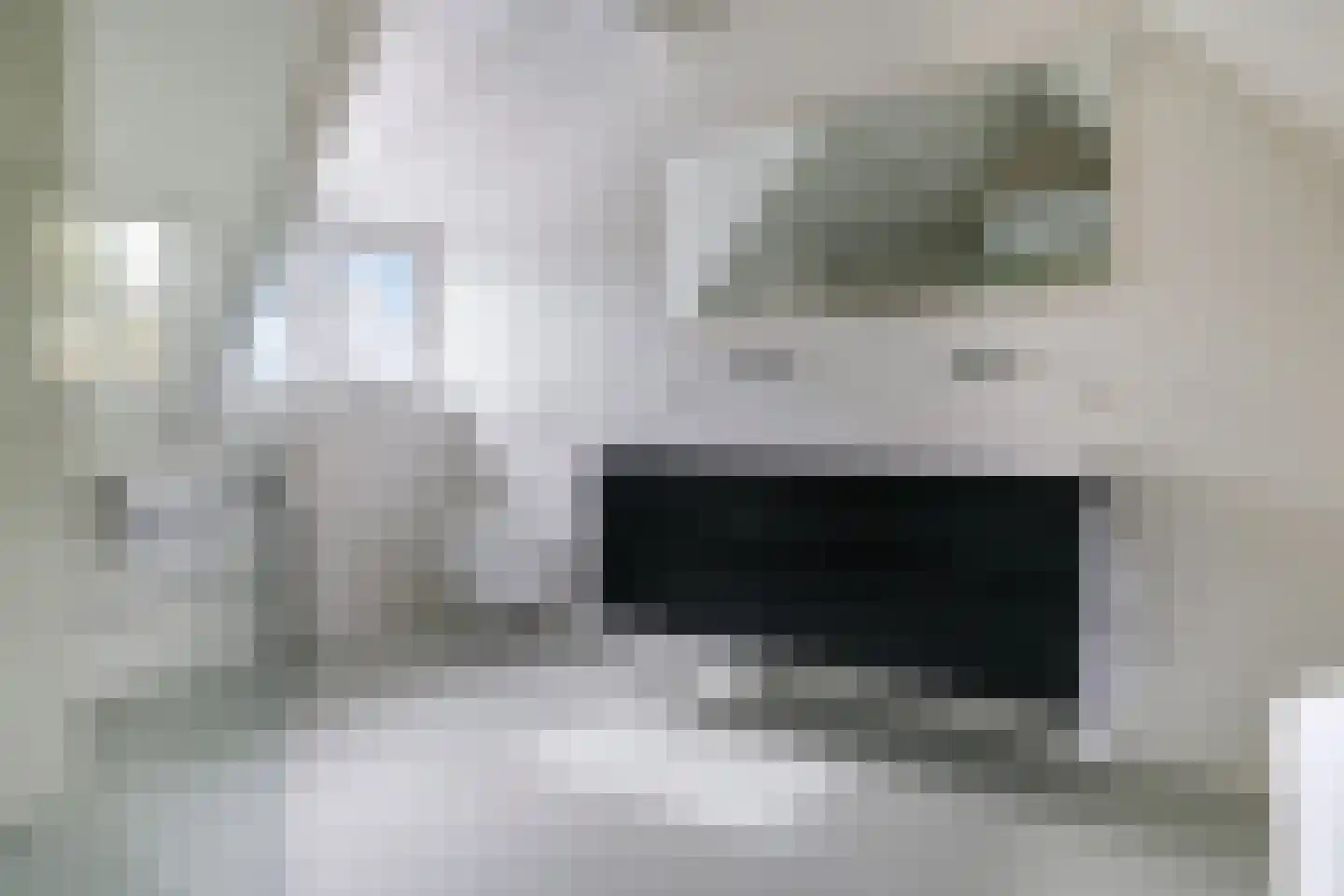 Waalbandijk 7 Dodewaard thumbnail 68