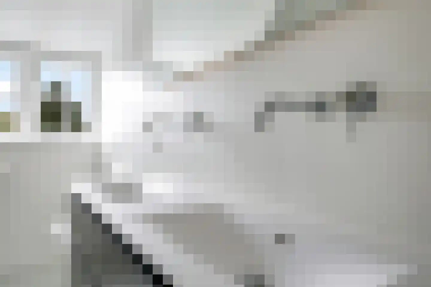 Waalbandijk 7 Dodewaard thumbnail 70