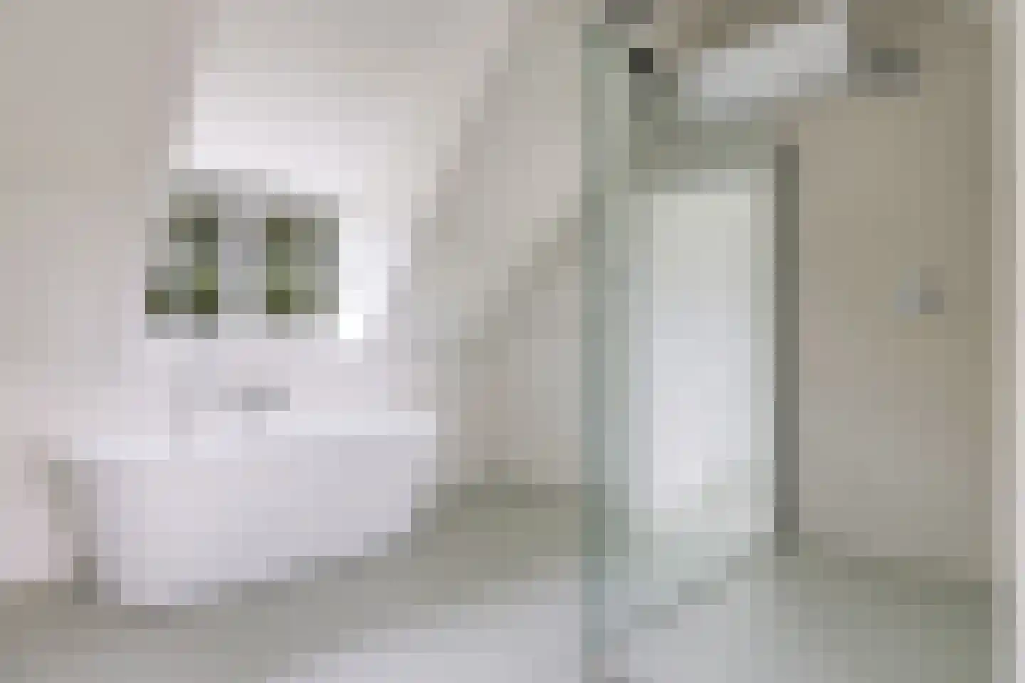 Waalbandijk 7 Dodewaard thumbnail 71