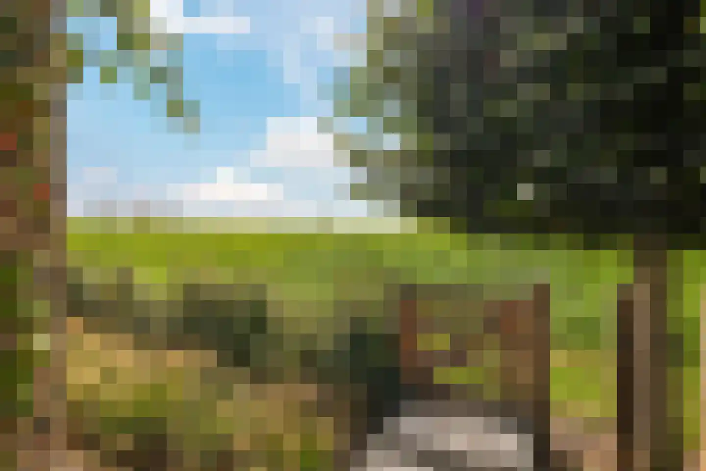 Waalbandijk 7 Dodewaard thumbnail 87