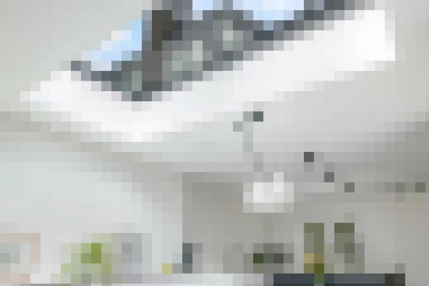 Waalbandijk 7 Dodewaard thumbnail 9
