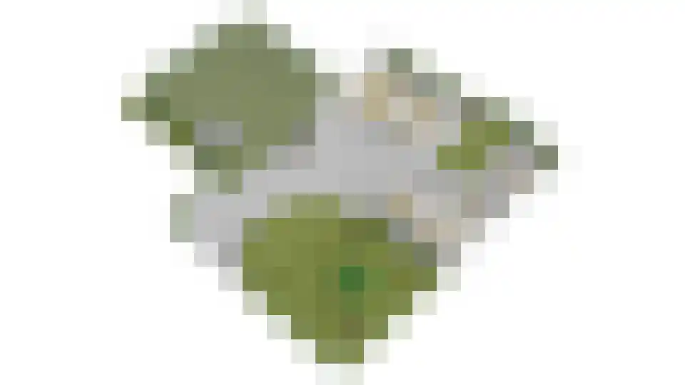 Waalbandijk 7 Dodewaard thumbnail 92