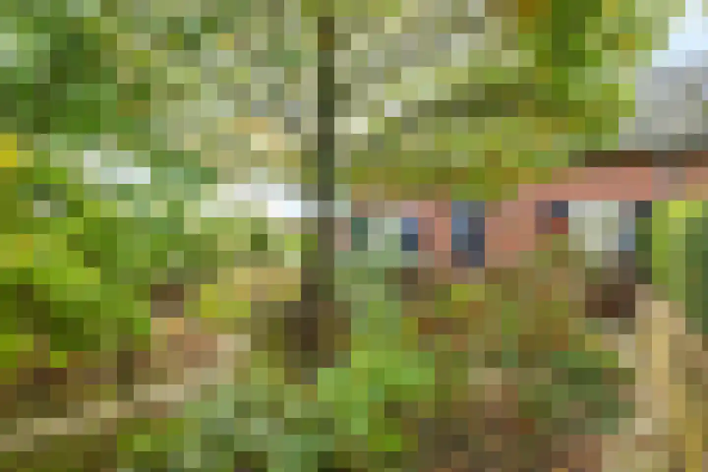 Waalbandijk 7 Dodewaard thumbnail 97