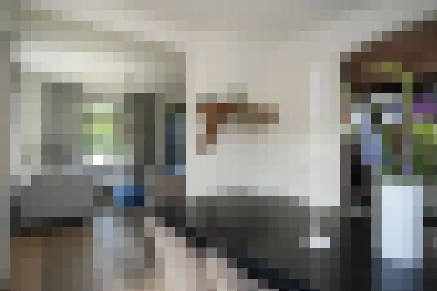 Waalbandijk 78 Dodewaard thumbnail 10