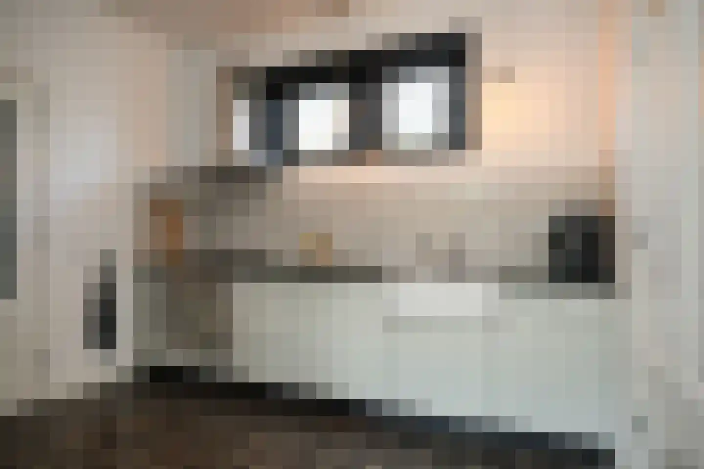 Waalbandijk 78 Dodewaard thumbnail 14
