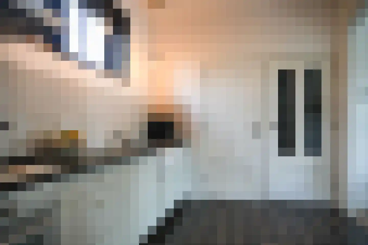 Waalbandijk 78 Dodewaard thumbnail 15