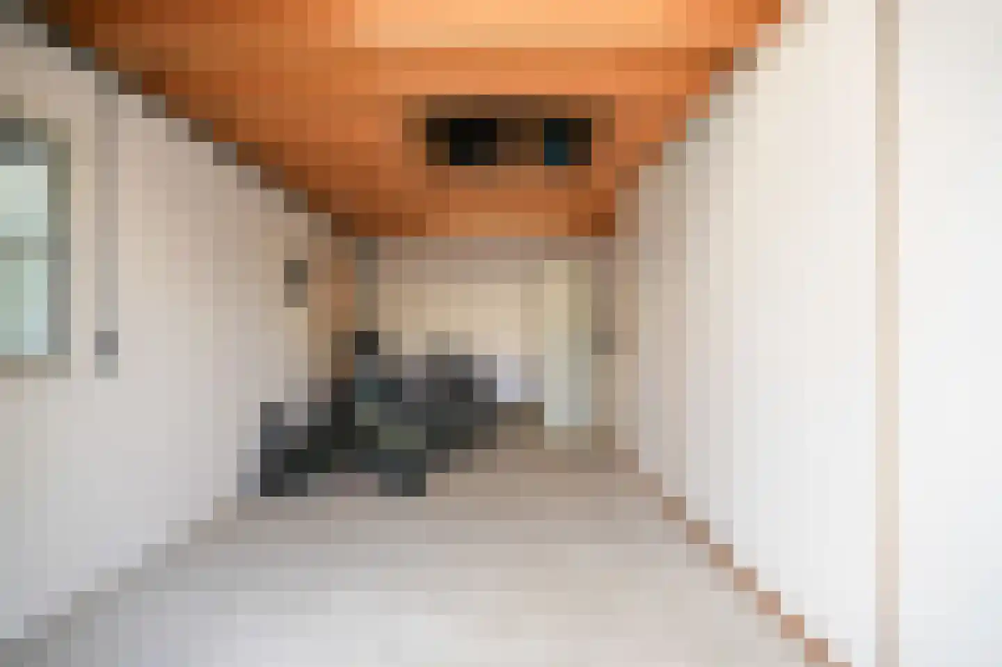 Waalbandijk 78 Dodewaard thumbnail 39