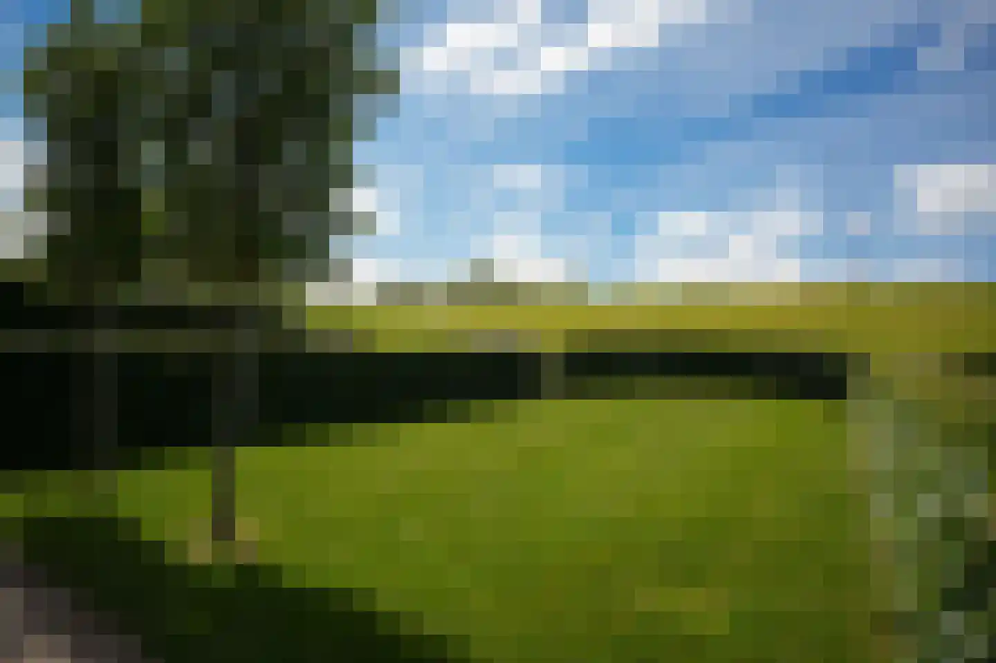 Waalbandijk 78 Dodewaard thumbnail 45