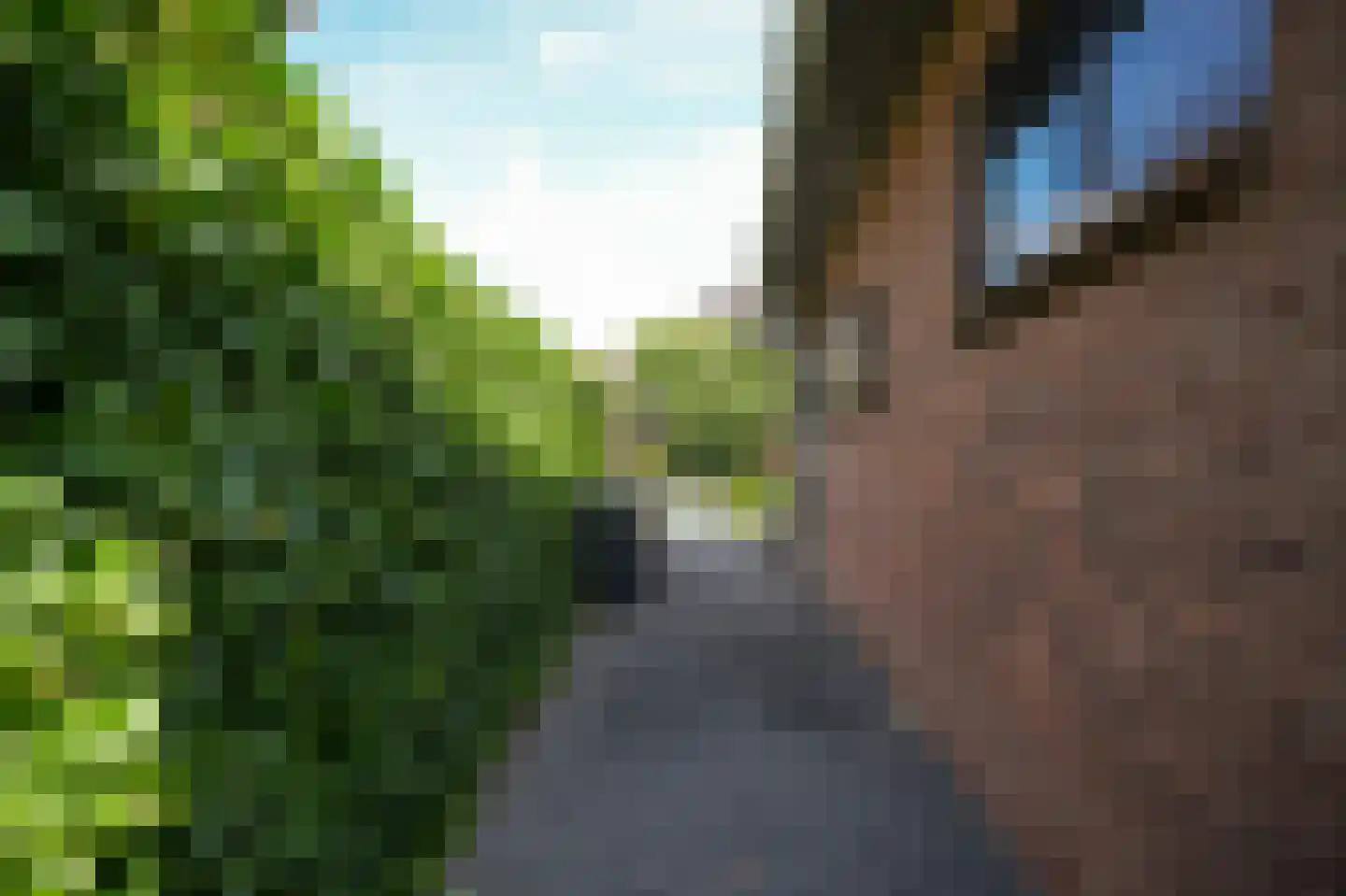Waalbandijk 78 Dodewaard thumbnail 48