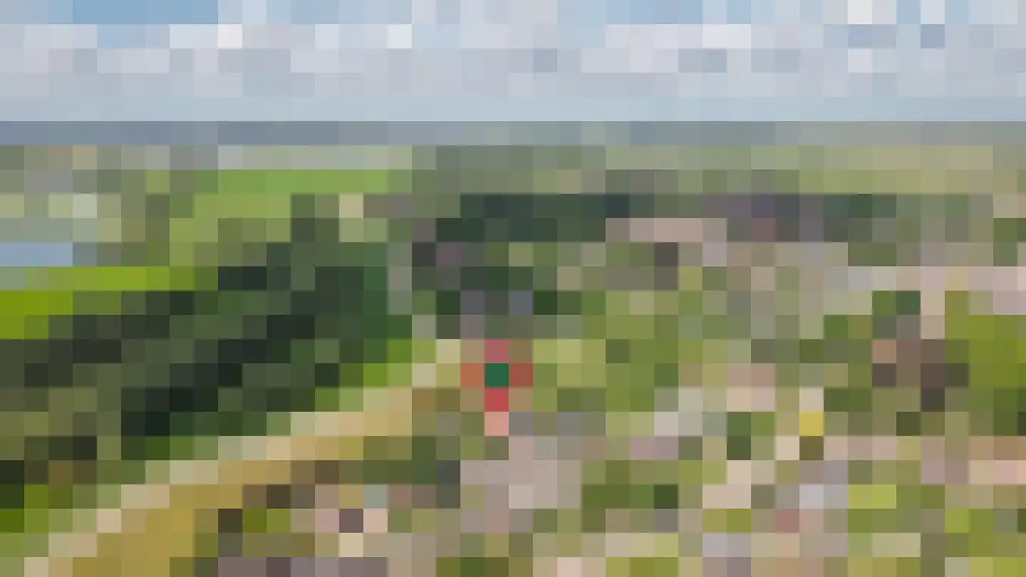 Waalbandijk 78 Dodewaard thumbnail 59