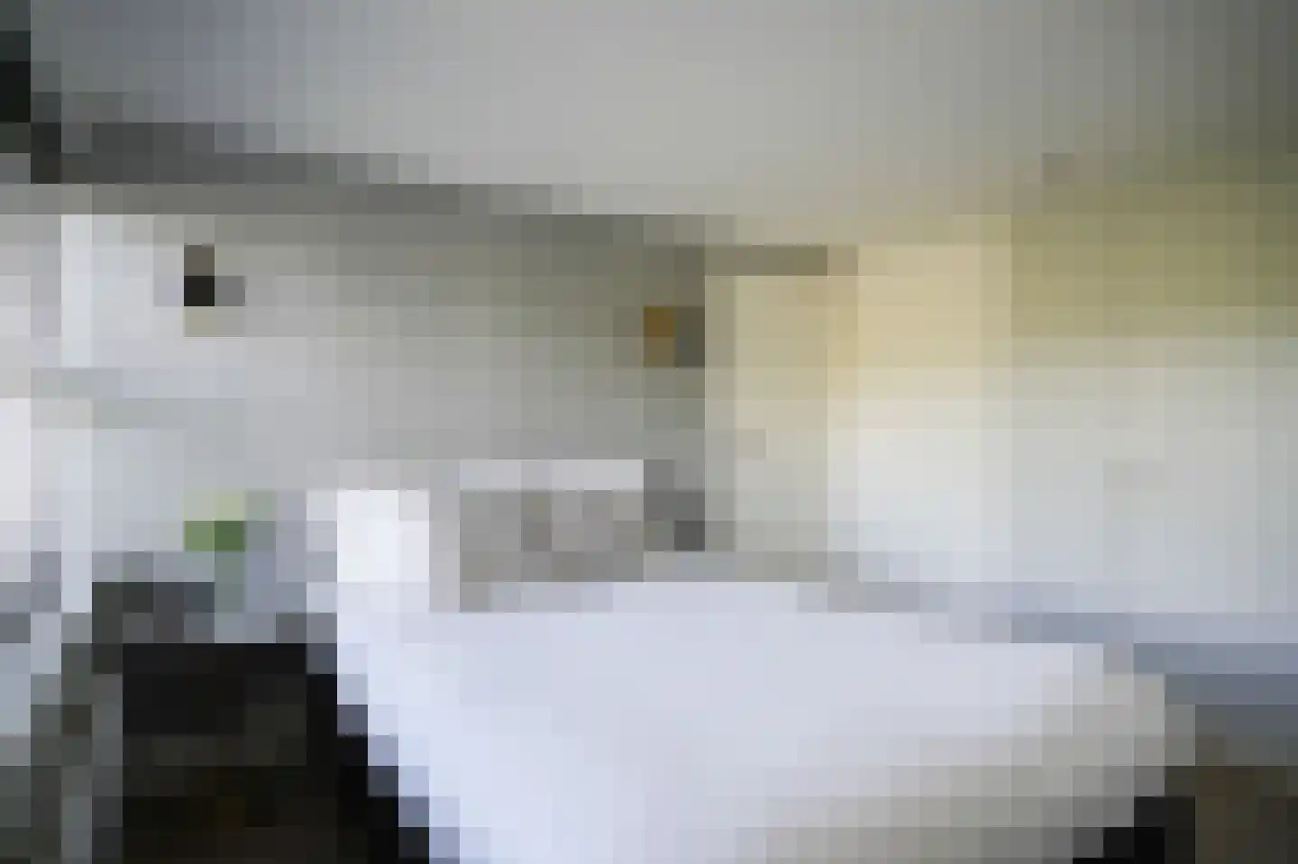 Waalbandijk 78 Dodewaard thumbnail 6