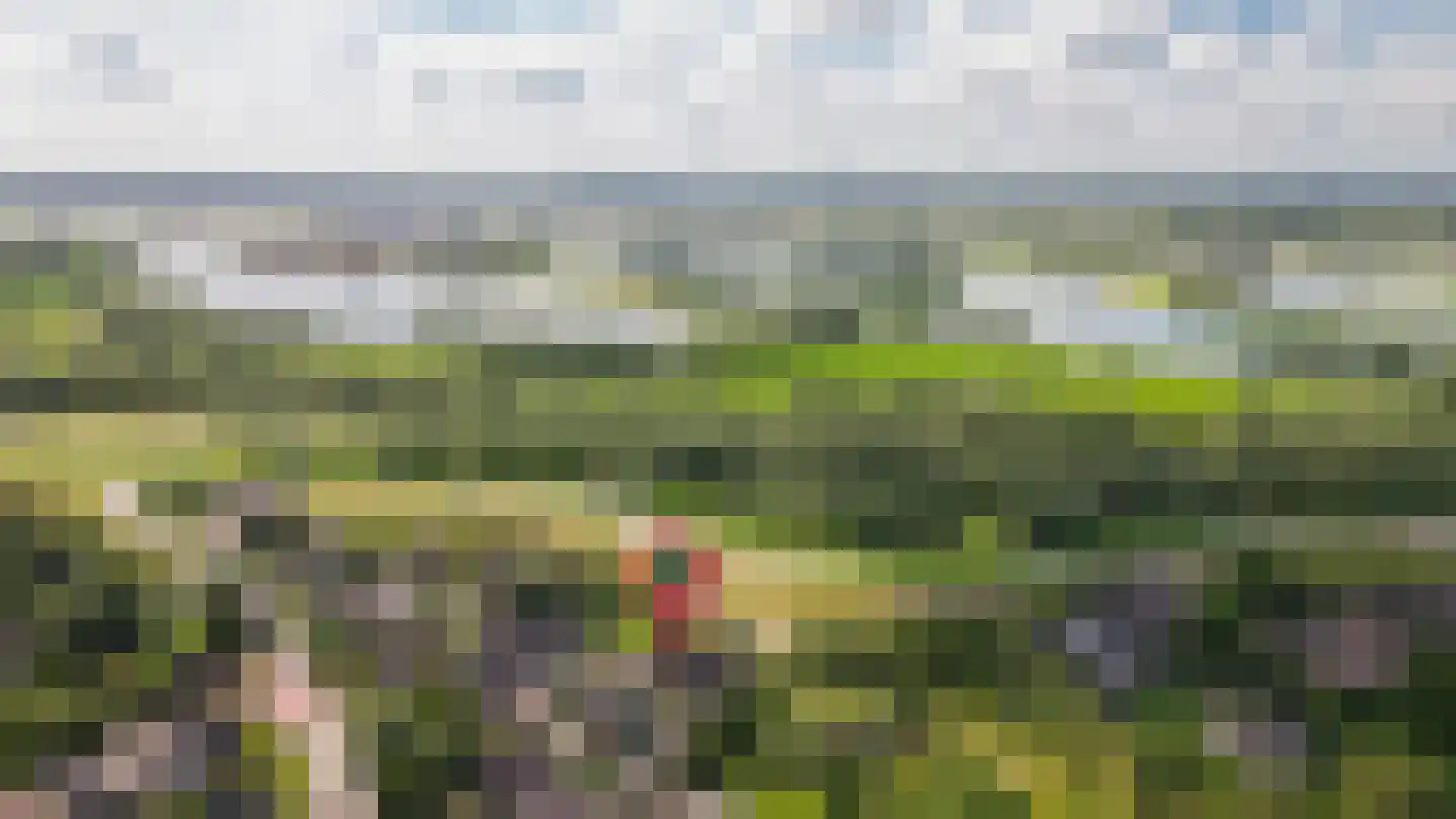 Waalbandijk 78 Dodewaard thumbnail 60