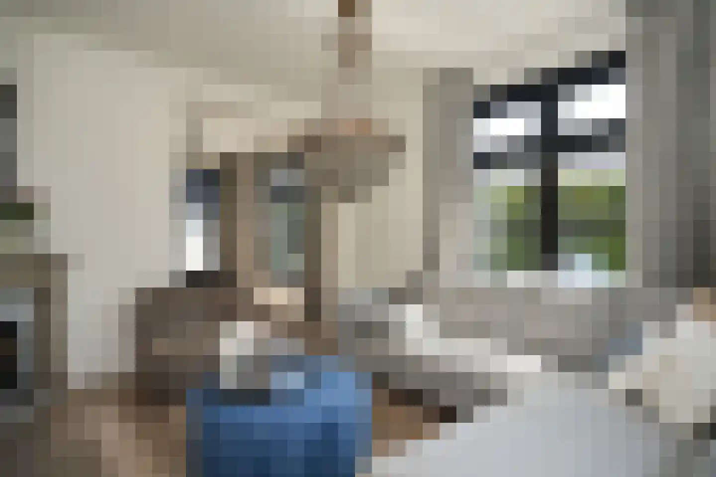 Waalbandijk 78 Dodewaard thumbnail 8