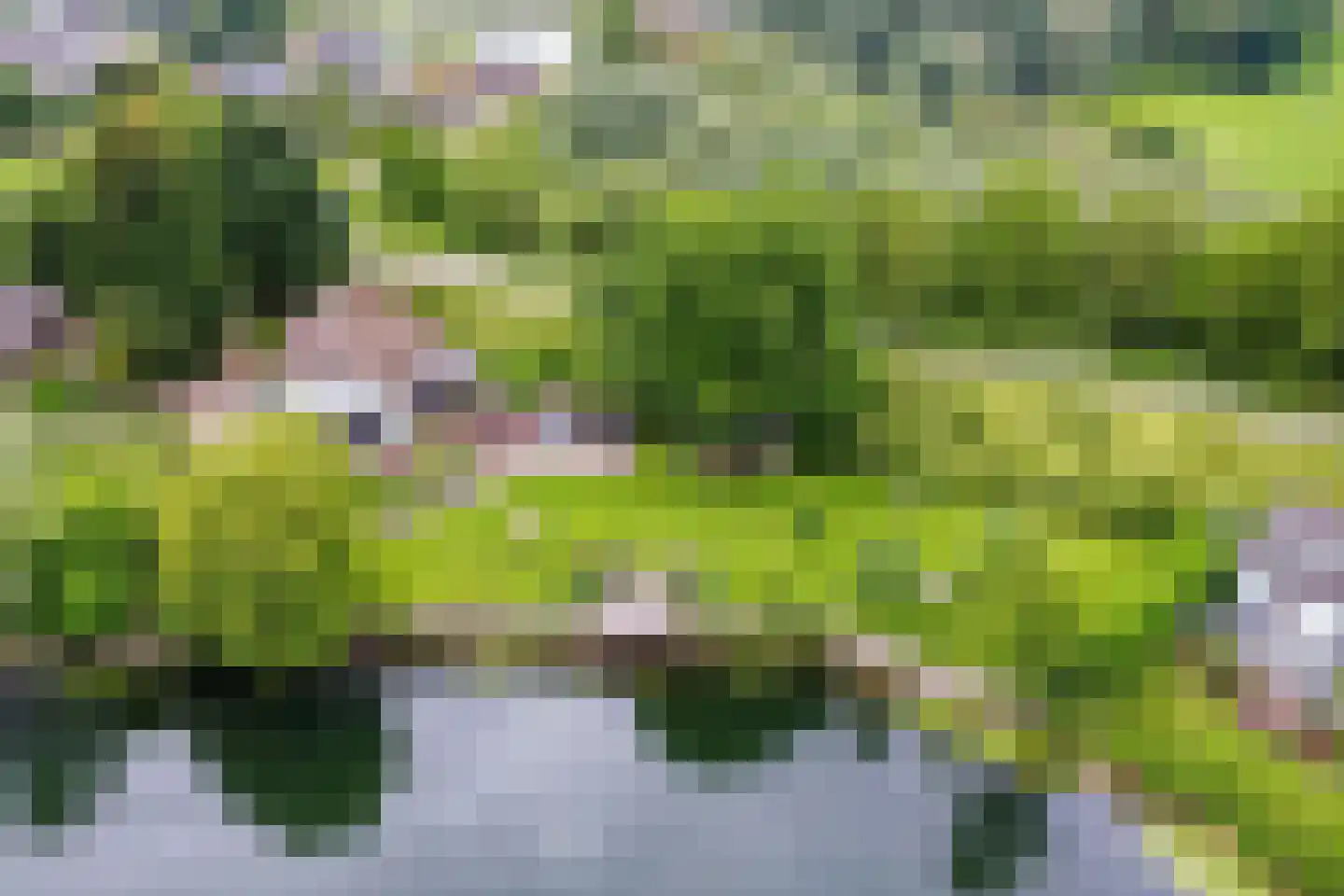 Waalbandijk 86 Afferden thumbnail 10