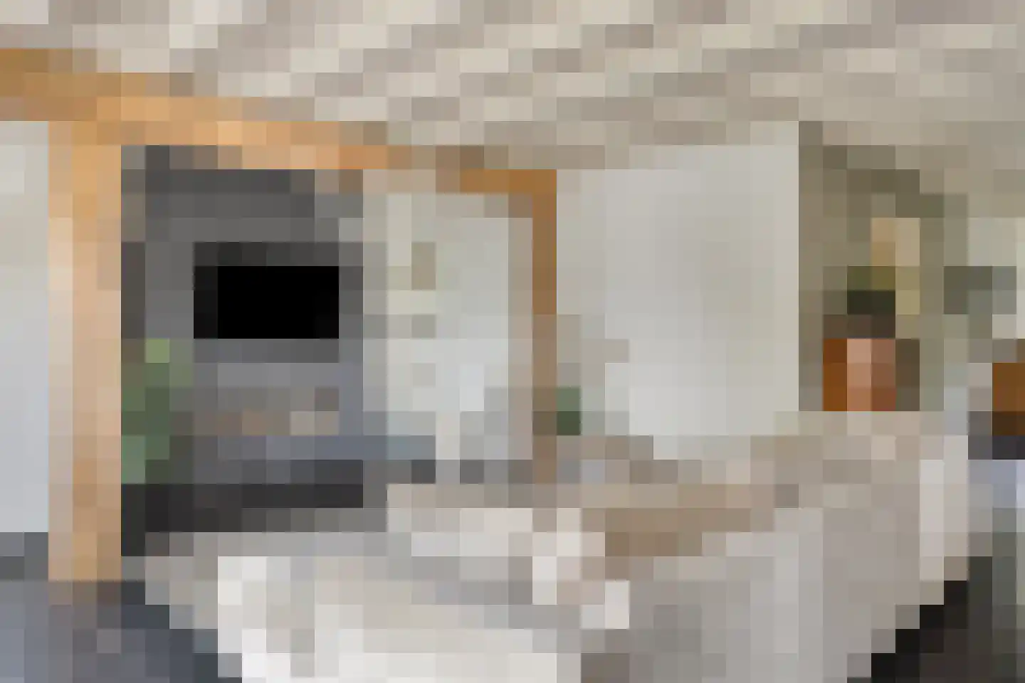 Waalbandijk 86 Afferden thumbnail 17