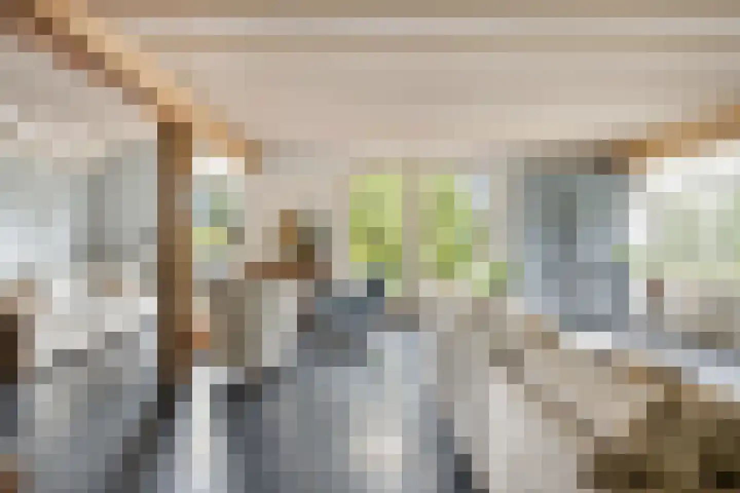 Waalbandijk 86 Afferden thumbnail 18