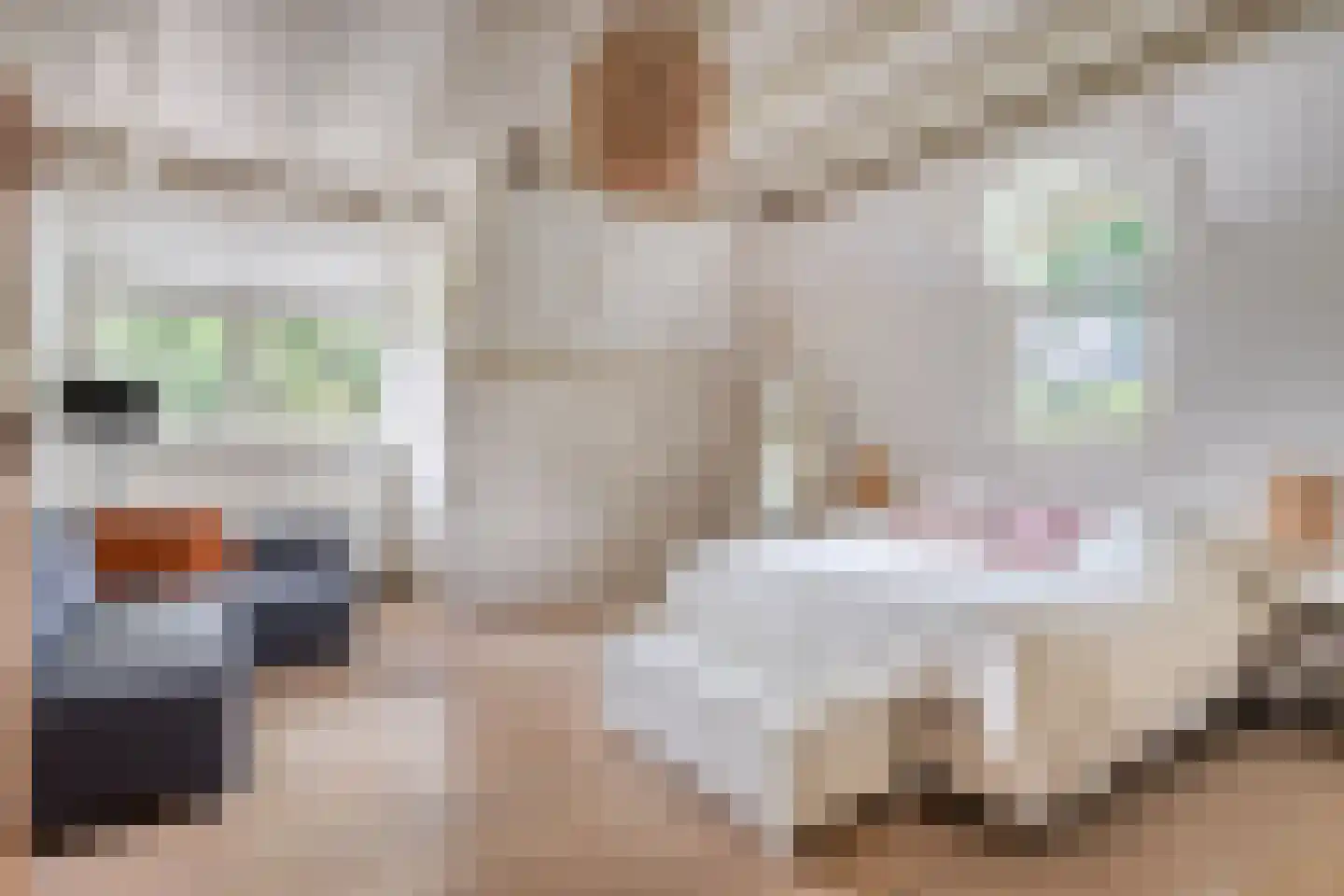 Waalbandijk 86 Afferden thumbnail 34