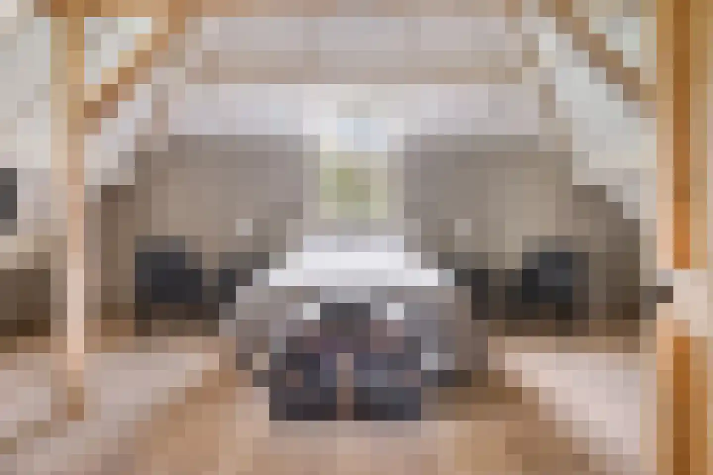Waalbandijk 86 Afferden thumbnail 36