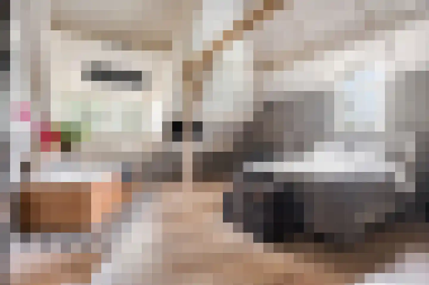 Waalbandijk 86 Afferden thumbnail 4