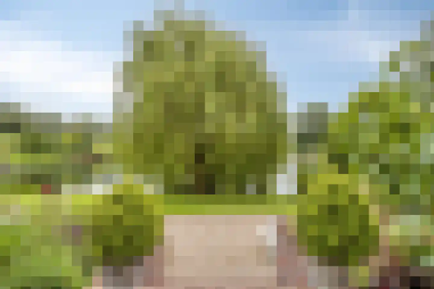 Waalbandijk 86 Afferden thumbnail 42