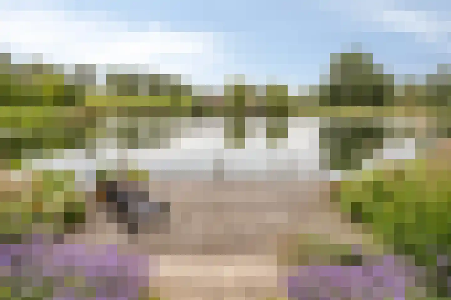 Waalbandijk 86 Afferden thumbnail 46