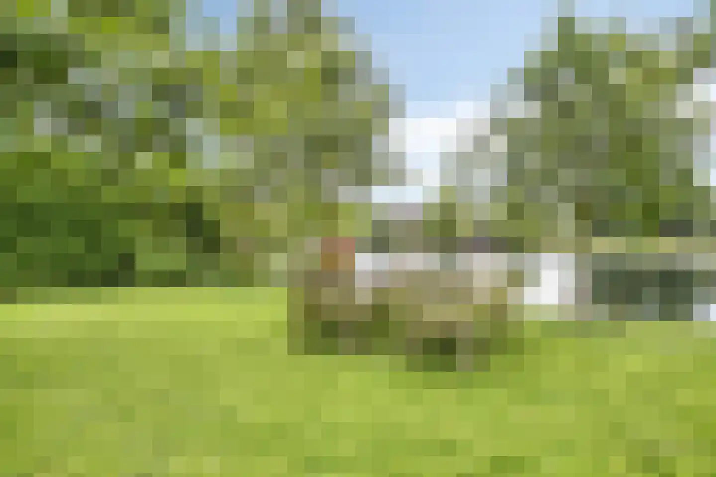 Waalbandijk 86 Afferden thumbnail 47