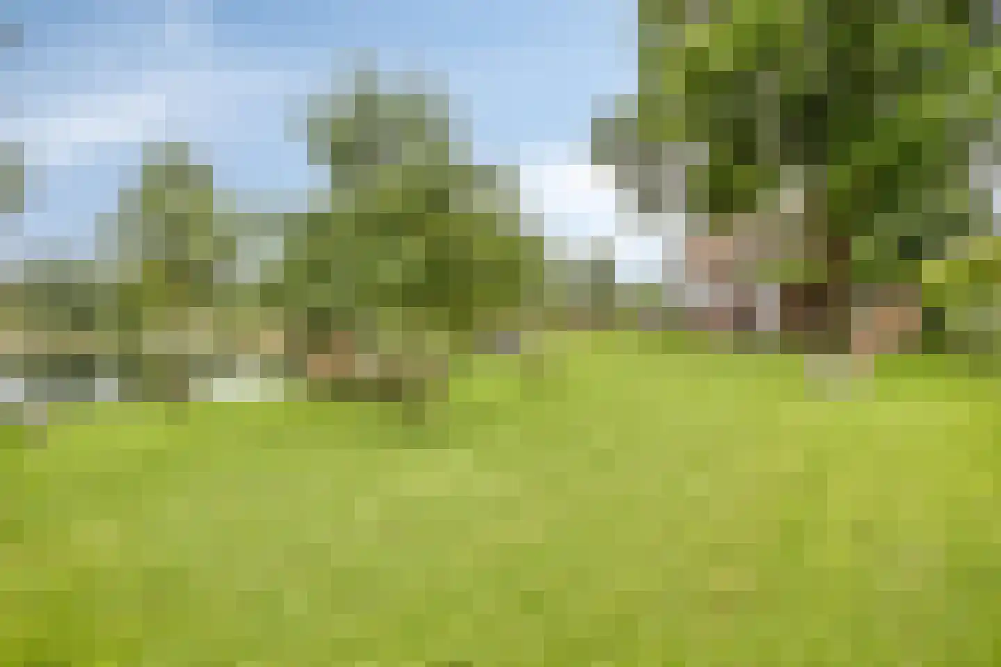 Waalbandijk 86 Afferden thumbnail 48