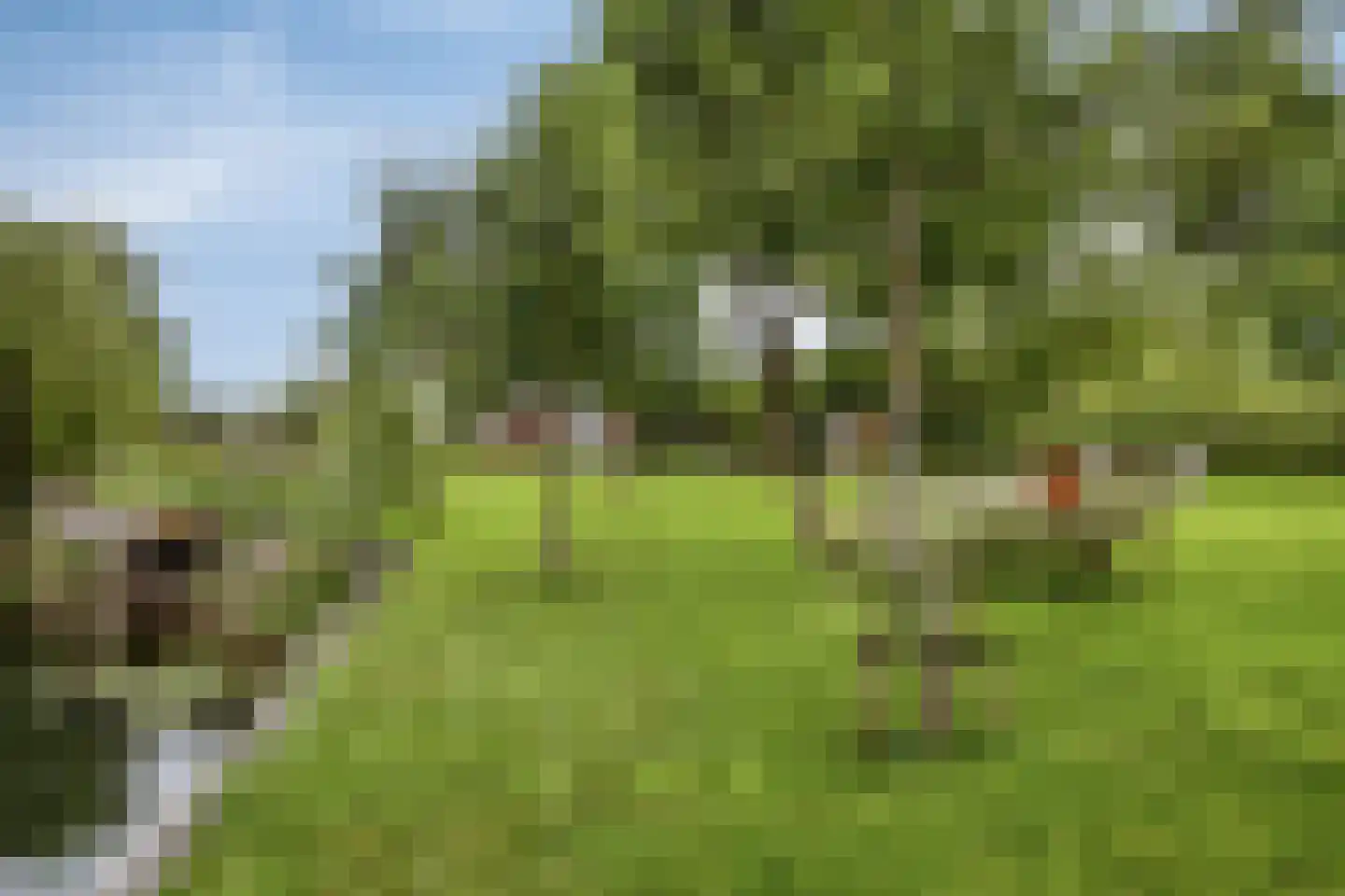 Waalbandijk 86 Afferden thumbnail 49