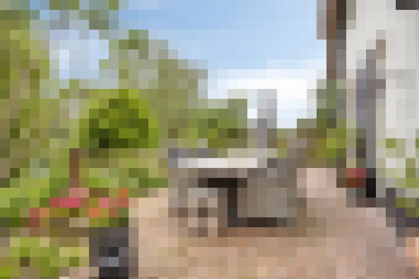 Waalbandijk 86 Afferden thumbnail 50