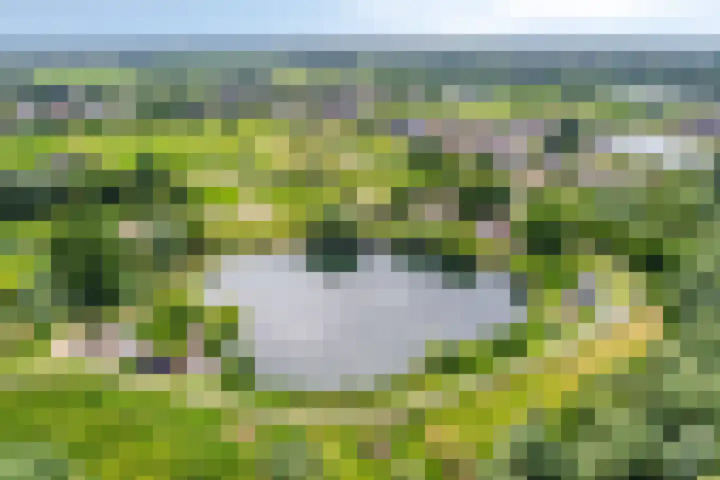 Waalbandijk 86 Afferden thumbnail 8