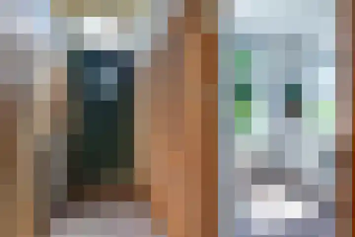 Waalbandijk 94 Dodewaard thumbnail 11