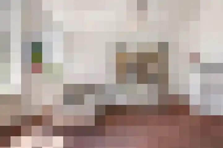 Waalbandijk 94 Dodewaard thumbnail 12