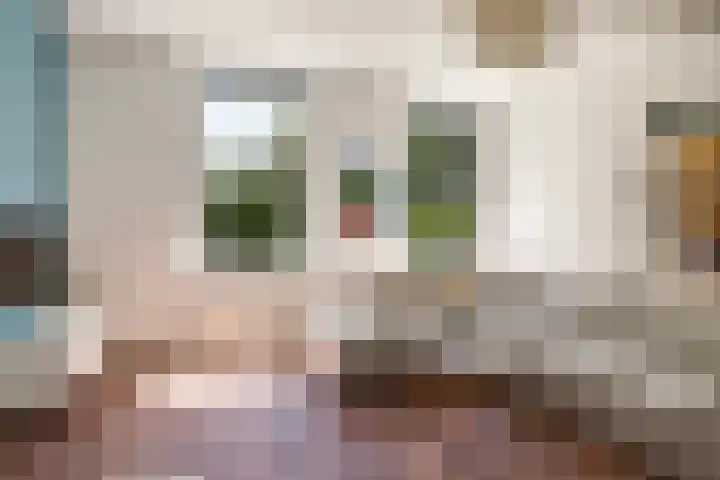 Waalbandijk 94 Dodewaard thumbnail 13
