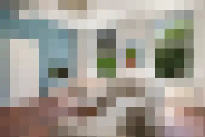Waalbandijk 94 Dodewaard thumbnail 18