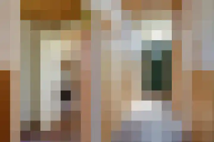 Waalbandijk 94 Dodewaard thumbnail 19