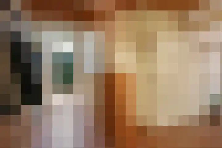 Waalbandijk 94 Dodewaard thumbnail 34