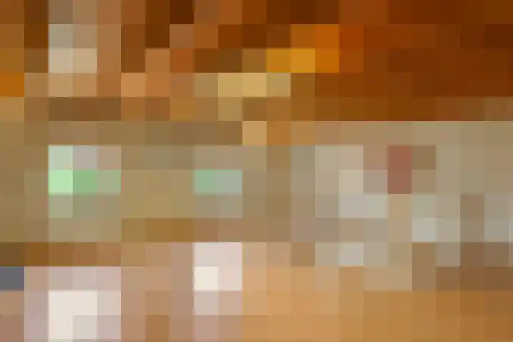 Waalbandijk 94 Dodewaard thumbnail 49