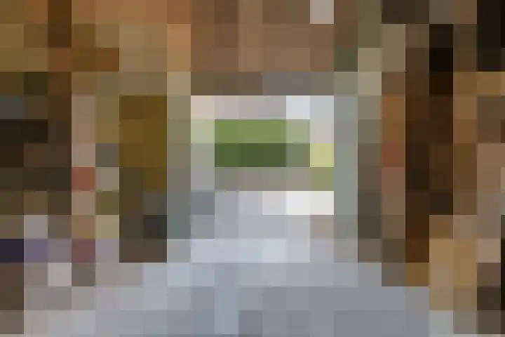 Waalbandijk 94 Dodewaard thumbnail 55