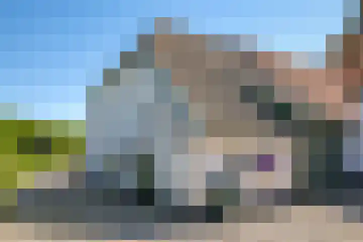 Waalbandijk 94 Dodewaard thumbnail 56