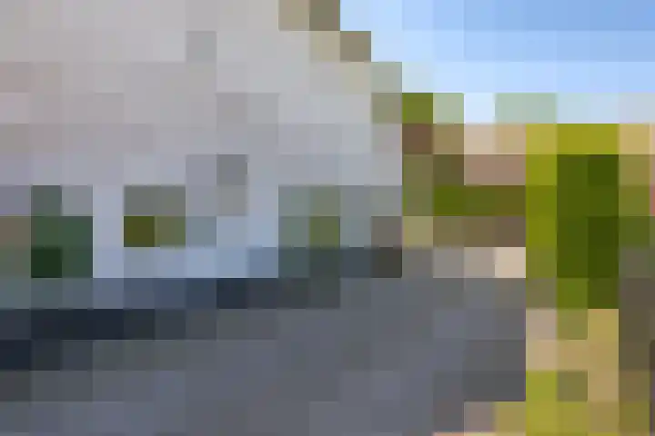 Waalbandijk 94 Dodewaard thumbnail 57