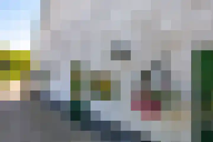Waalbandijk 94 Dodewaard thumbnail 58