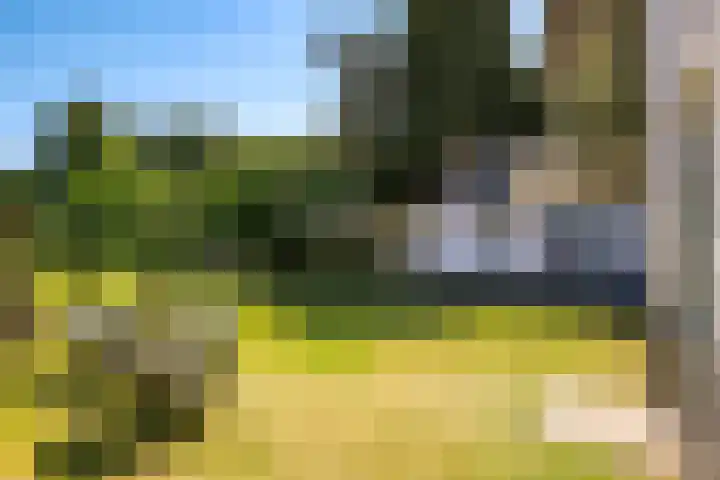 Waalbandijk 94 Dodewaard thumbnail 6