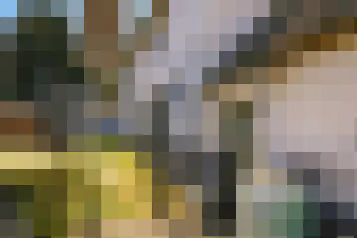 Waalbandijk 94 Dodewaard thumbnail 60