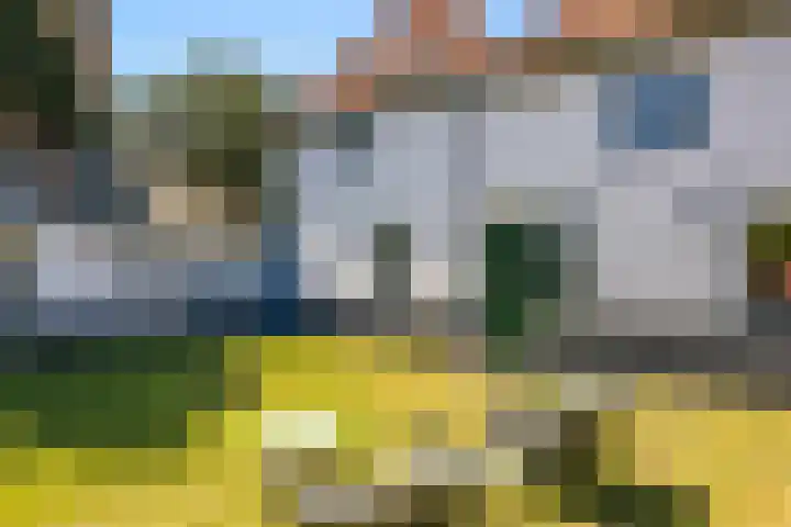 Waalbandijk 94 Dodewaard thumbnail 62